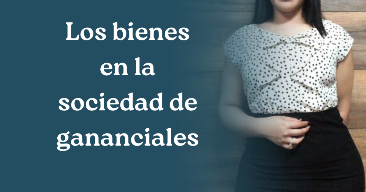 Los bienes en la sociedad de gananciales