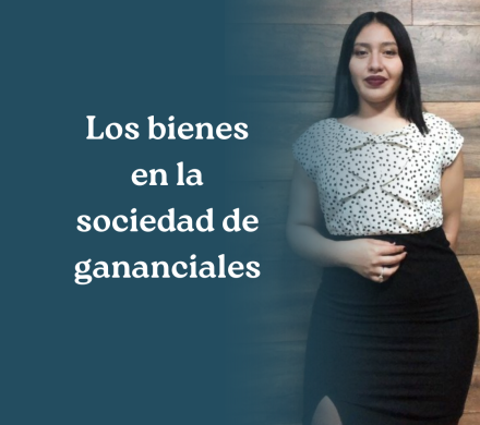 Los bienes en la sociedad de gananciales